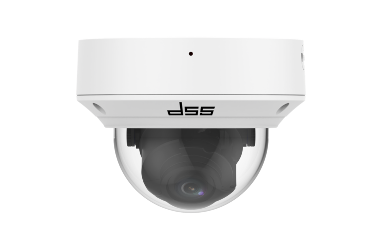 DW-P10